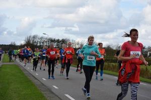 Halve-Marathon-Berenloop-2017-(629)