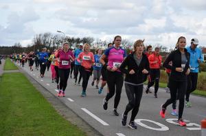 Halve-Marathon-Berenloop-2017-(643)