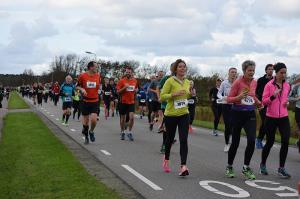 Halve-Marathon-Berenloop-2017-(644)