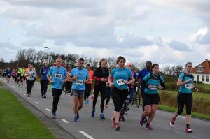 Halve-Marathon-Berenloop-2017-(658)