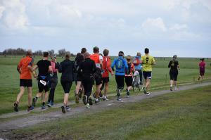 Hele-Marathon-Berenloop-2017-(1282)