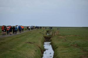 Hele-Marathon-Berenloop-2017-(1284)