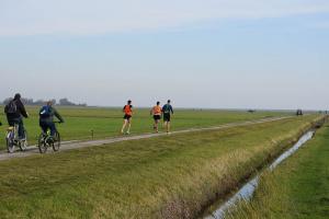 Hele-Marathon-Berenloop-2018-(1806)