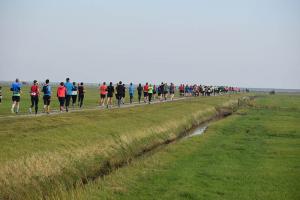 Hele-Marathon-Berenloop-2018-(1871)