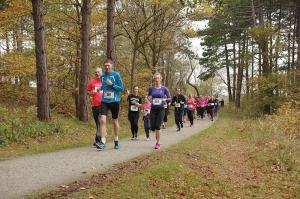 Kleintje-Berenloop-2017-5-kilometer-(132)