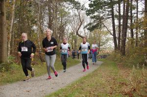 Kleintje-Berenloop-2017-5-kilometer-(153)