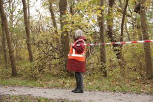 Kleintje-Berenloop-2017-5-kilometer-(162)